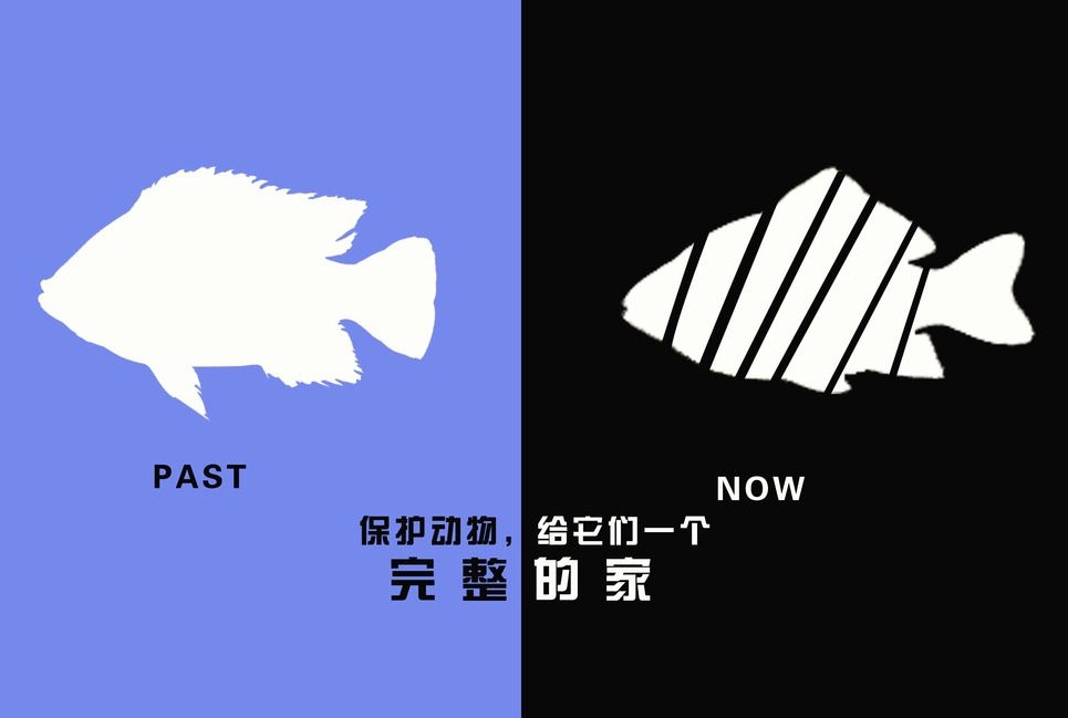 廣告設計制作有哪些要求？有哪些注意事項？