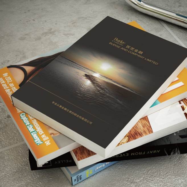 設(shè)計(jì)一P 多少費(fèi)用？設(shè)計(jì)一本畫冊設(shè)計(jì)費(fèi)用是多少錢？廣州做一本畫冊需要多少錢？