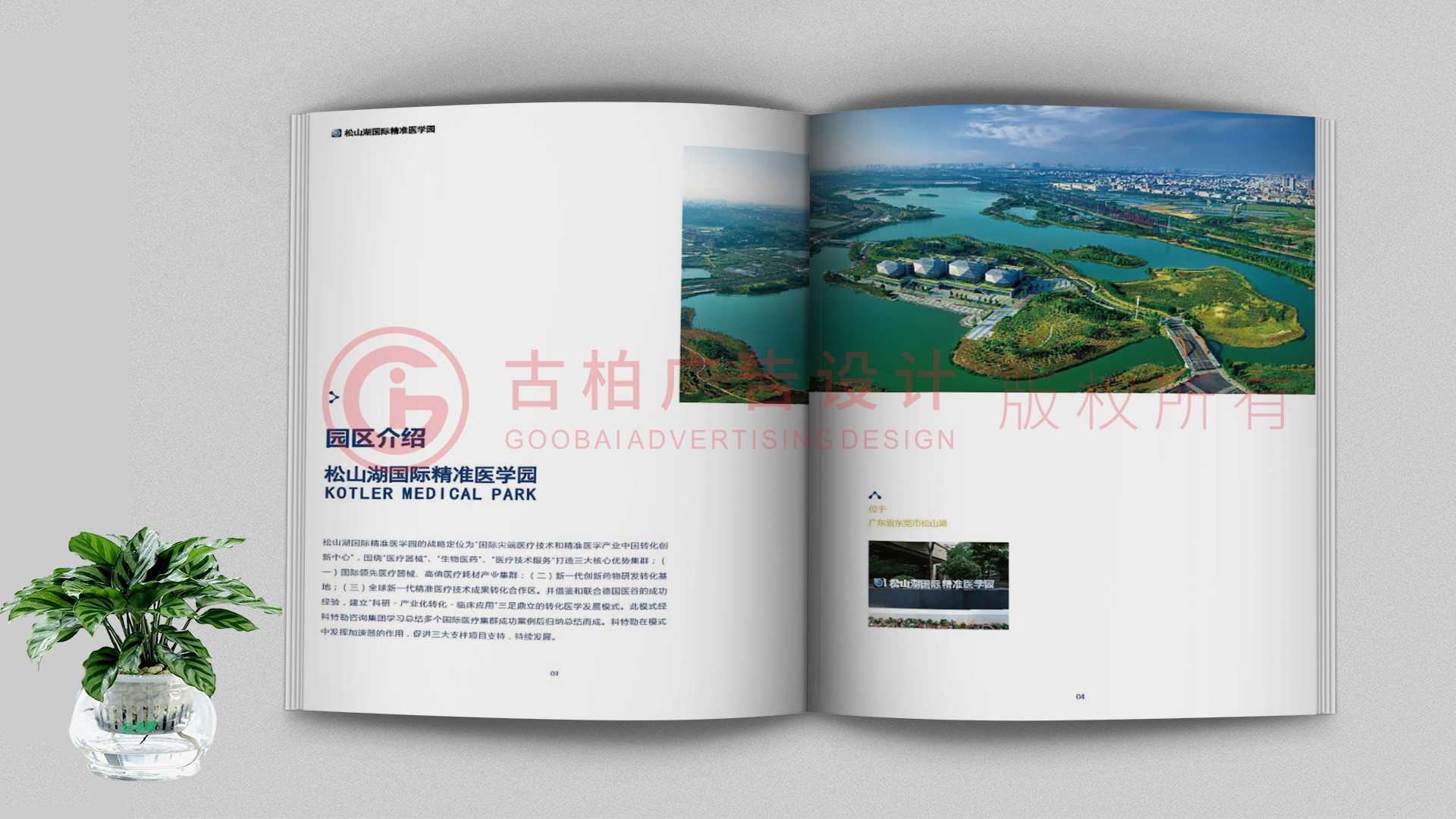 一本聚會紀念冊該如何通過排版來提升整體的美觀性？