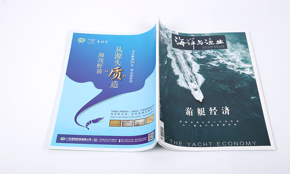 怎么設(shè)計宣傳冊怎么要多少錢？